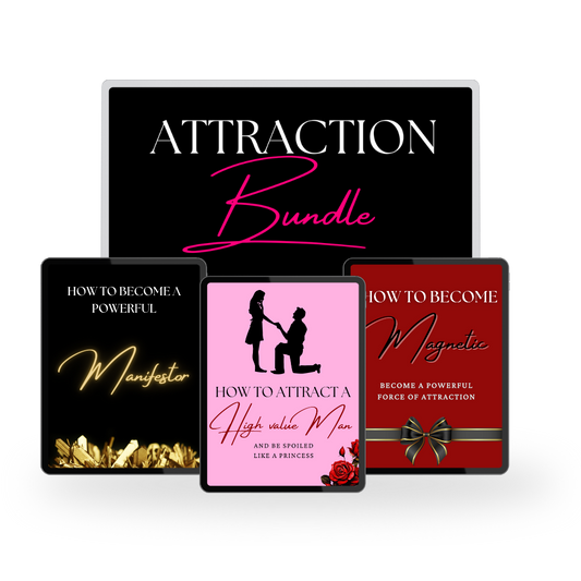 Attraction Bundle